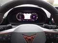 CUPRA Leon 1,5 eTSI DSG - MATRIX - Navi - ACC - Blind-Spot Weiß - thumbnail 9