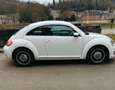 Volkswagen Beetle 1.2 TSI Fehér - thumbnail 4