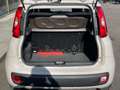 Fiat Panda 1.2 EasyPower Easy Beige - thumbnail 18