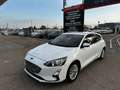 Ford Focus 1.5Ecoblue Titanium 120 Blanco - thumbnail 2