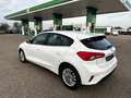 Ford Focus 1.5Ecoblue Titanium 120 Blanco - thumbnail 8
