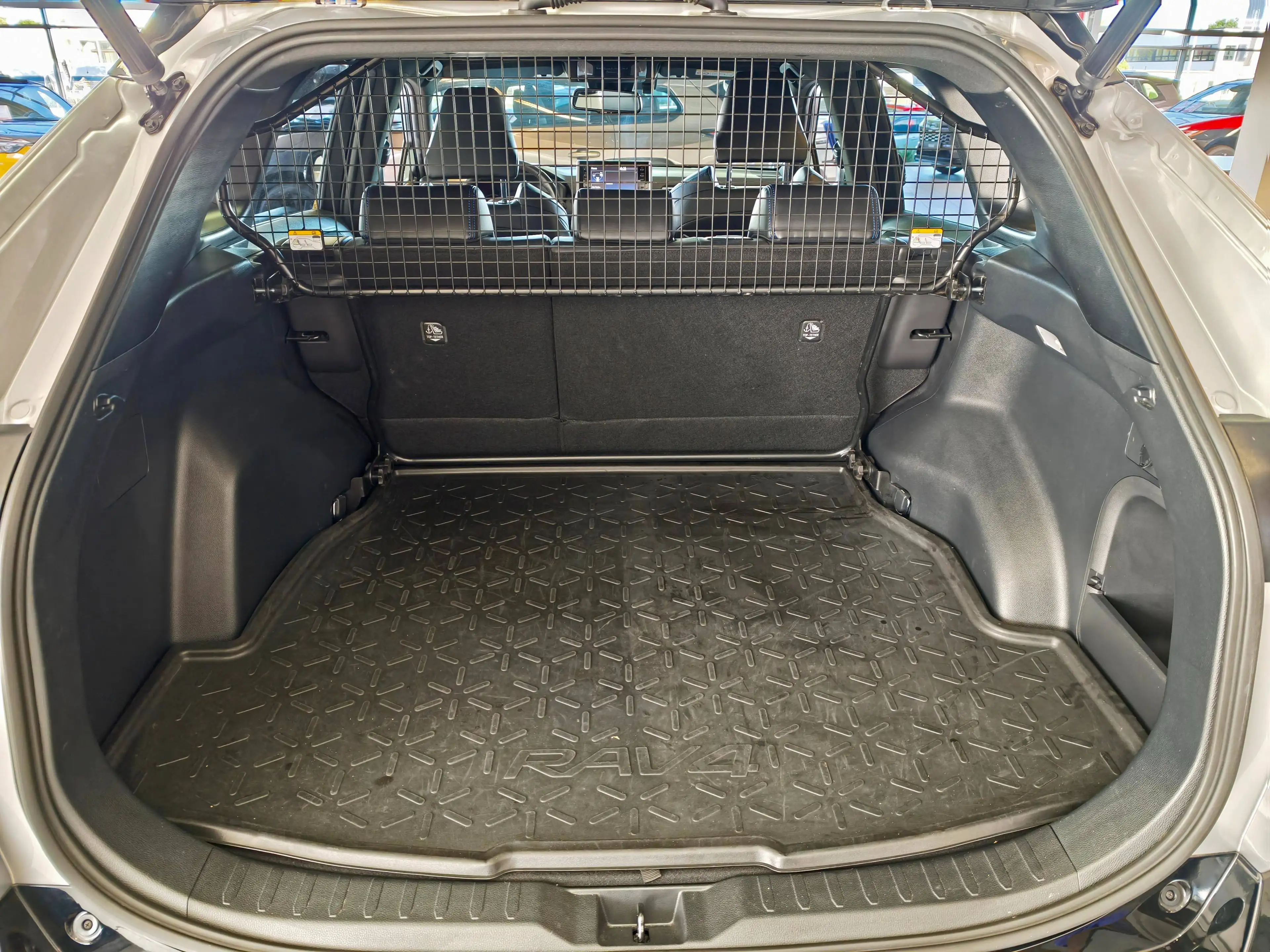 Toyota RAV 4 RAV4 Hybrid 2.5 4x2 Hybrid Style — photo 9