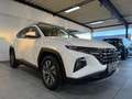 Hyundai TUCSON 1.6 T-GDI +CarPlay+Kamera+SHZ+PDC+ Weiß - thumbnail 3