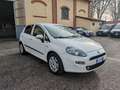 Fiat Punto Punto  5p 1.3 mjt Lounge Blanc - thumbnail 2