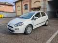 Fiat Punto Punto  5p 1.3 mjt Lounge Blanc - thumbnail 1