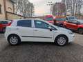 Fiat Punto Punto  5p 1.3 mjt Lounge Blanc - thumbnail 8