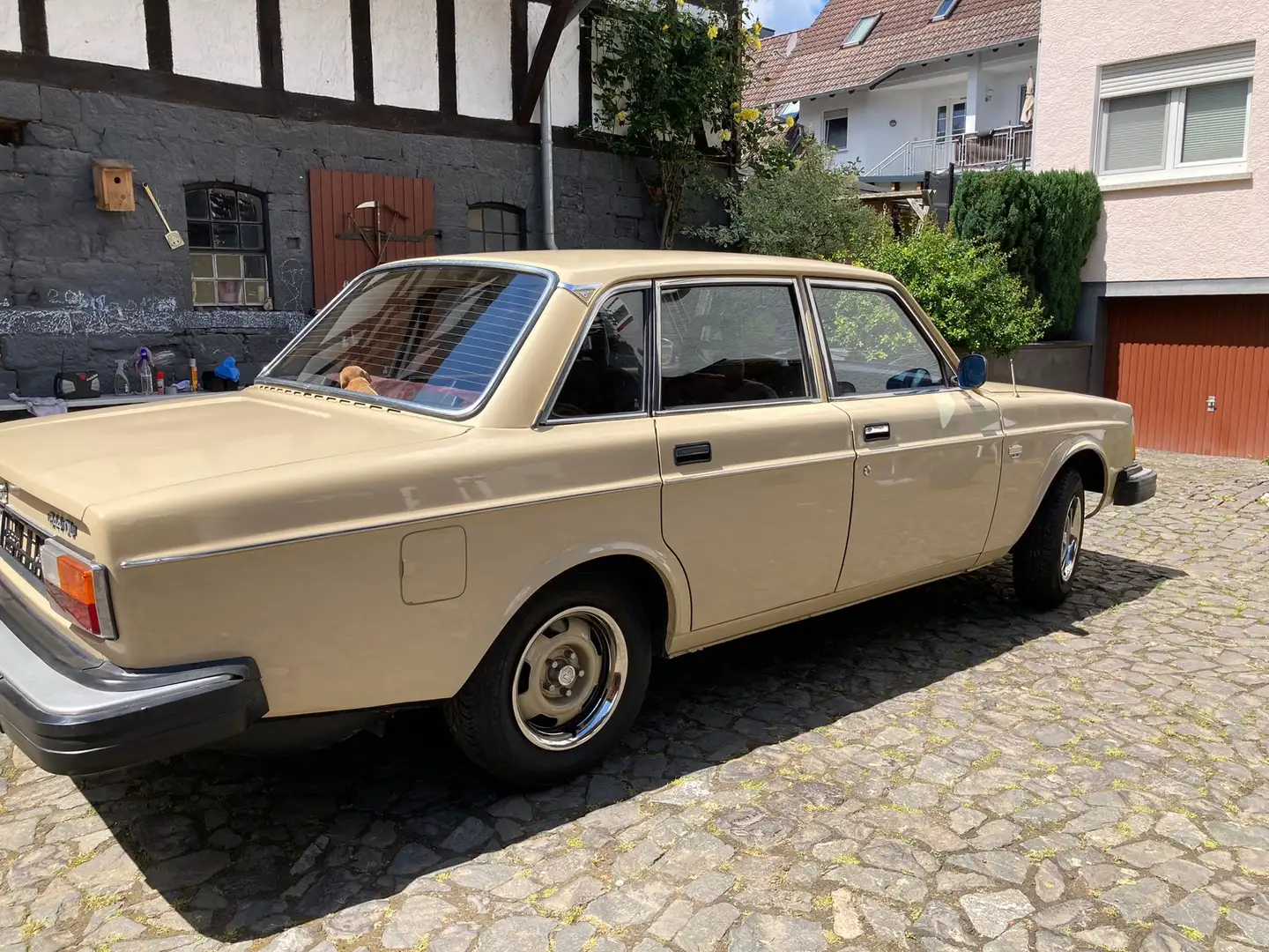 Volvo 244 Beżowy - 2
