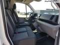 Volkswagen Crafter 35 L3H2 2.0 TDI 140 PS-AppConnect-Klima-Bluetoo... Blanc - thumbnail 15