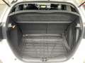 Honda Jazz 1.5 i-MMD Hybrid e-CVT Executive *1.Hand* Weiß - thumbnail 12