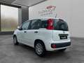 Fiat Sonstige Pandina FireFly Hybrid 65 Icon Weiß - thumbnail 5
