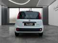 Fiat Sonstige Pandina FireFly Hybrid 65 Icon Weiß - thumbnail 6