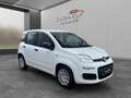 Fiat Sonstige Pandina FireFly Hybrid 65 Icon Weiß - thumbnail 2