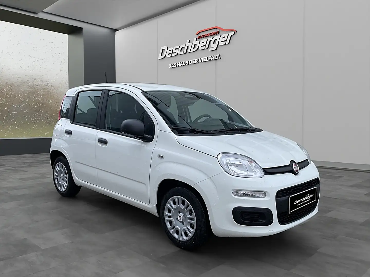 Fiat Sonstige Pandina FireFly Hybrid 65 Icon Weiß - 2