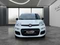 Fiat Sonstige Pandina FireFly Hybrid 65 Icon Weiß - thumbnail 3