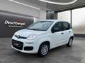 Fiat Sonstige Pandina FireFly Hybrid 65 Icon Weiß - thumbnail 1