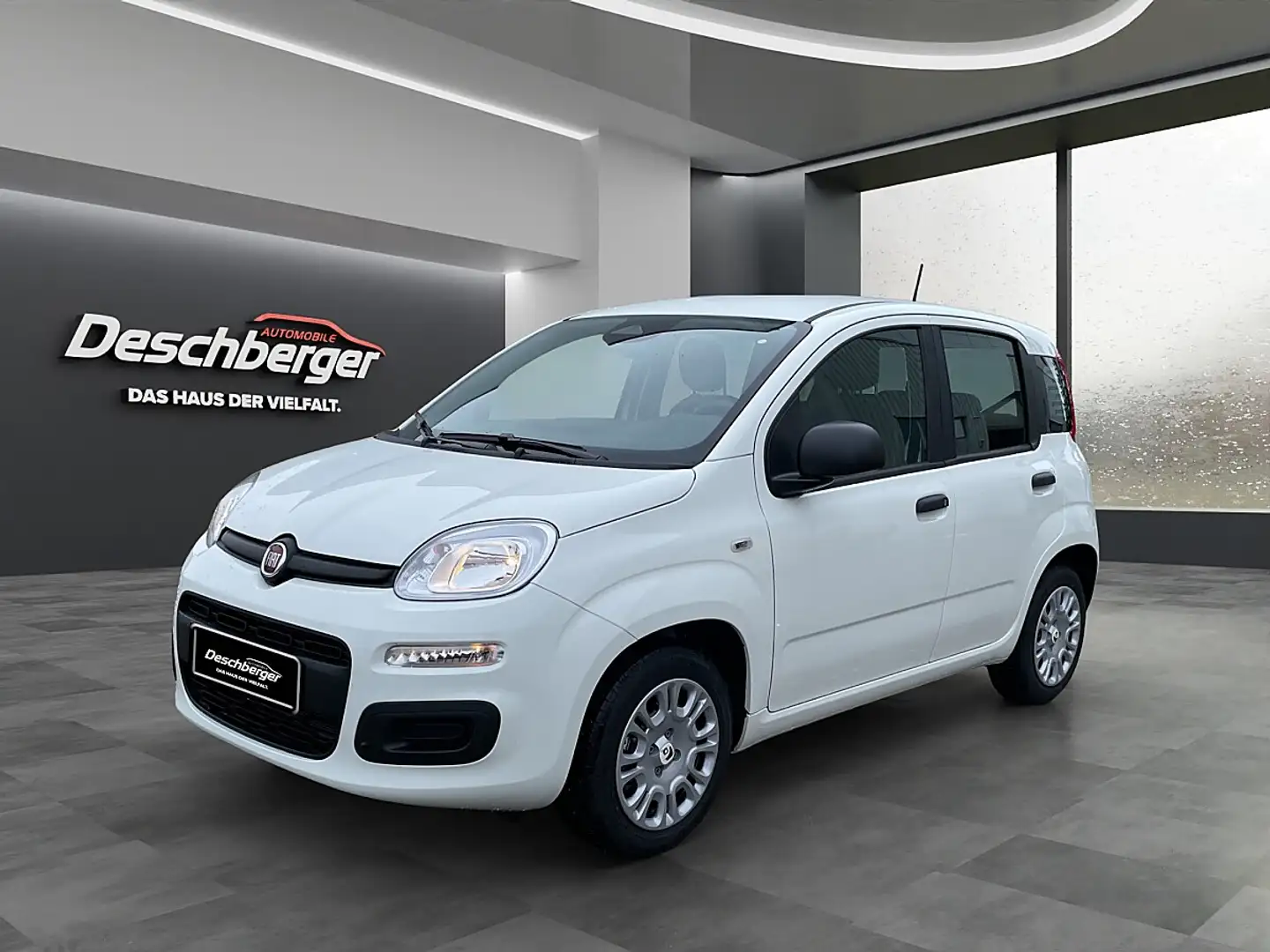Fiat Sonstige Pandina FireFly Hybrid 65 Icon Weiß - 1