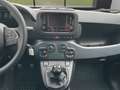 Fiat Sonstige Pandina FireFly Hybrid 65 Icon Weiß - thumbnail 8