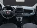 Fiat Sonstige Pandina FireFly Hybrid 65 Icon Weiß - thumbnail 7