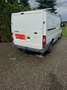 Ford Transit FT 280 M Vario Trend 4.36 2,2 TDCi Weiß - thumbnail 6