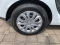 Renault Clio Kombi Business Edition 0.9 TCe 75PS Weiß - thumbnail 15