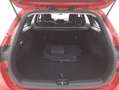 Kia Ceed / cee'd SW Business 1.6 Mild Hybrid 136CV Rot - thumbnail 14