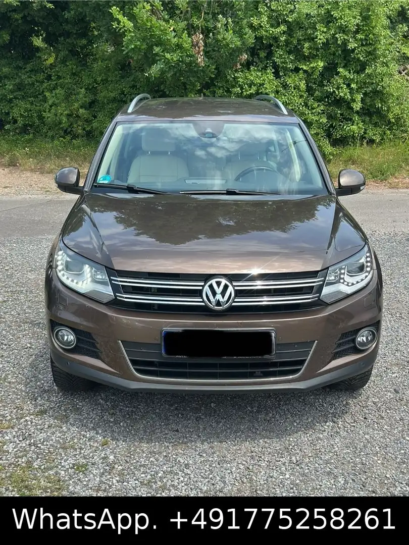 Volkswagen Tiguan Sport & Style BMT 4Motion Brun - 2