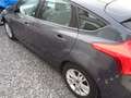Ford Focus 1.6 TDCi ECO.Tech.Champions Edition Gris - thumbnail 5