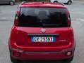 Fiat Panda Panda III 2021 Cross 1.0 firefly hybrid Cross s Rosso - thumbnail 8