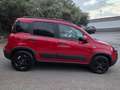 Fiat Panda Panda III 2021 Cross 1.0 firefly hybrid Cross s Rosso - thumbnail 4