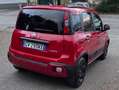Fiat Panda Panda III 2021 Cross 1.0 firefly hybrid Cross s Rosso - thumbnail 6