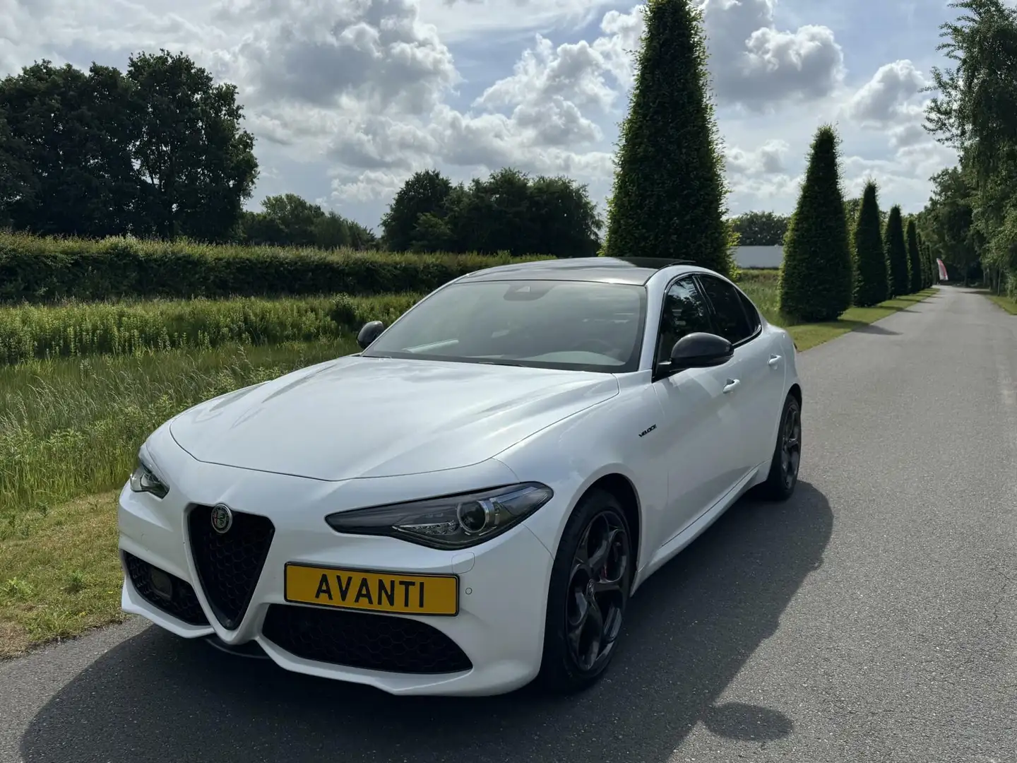 Alfa Romeo Giulia 2.0 T Veloce Q4 280pk, My21, Parelmoer! Wit - 2