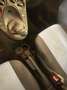 Fiat Panda 1.2 Dynamic Grigio - thumbnail 4