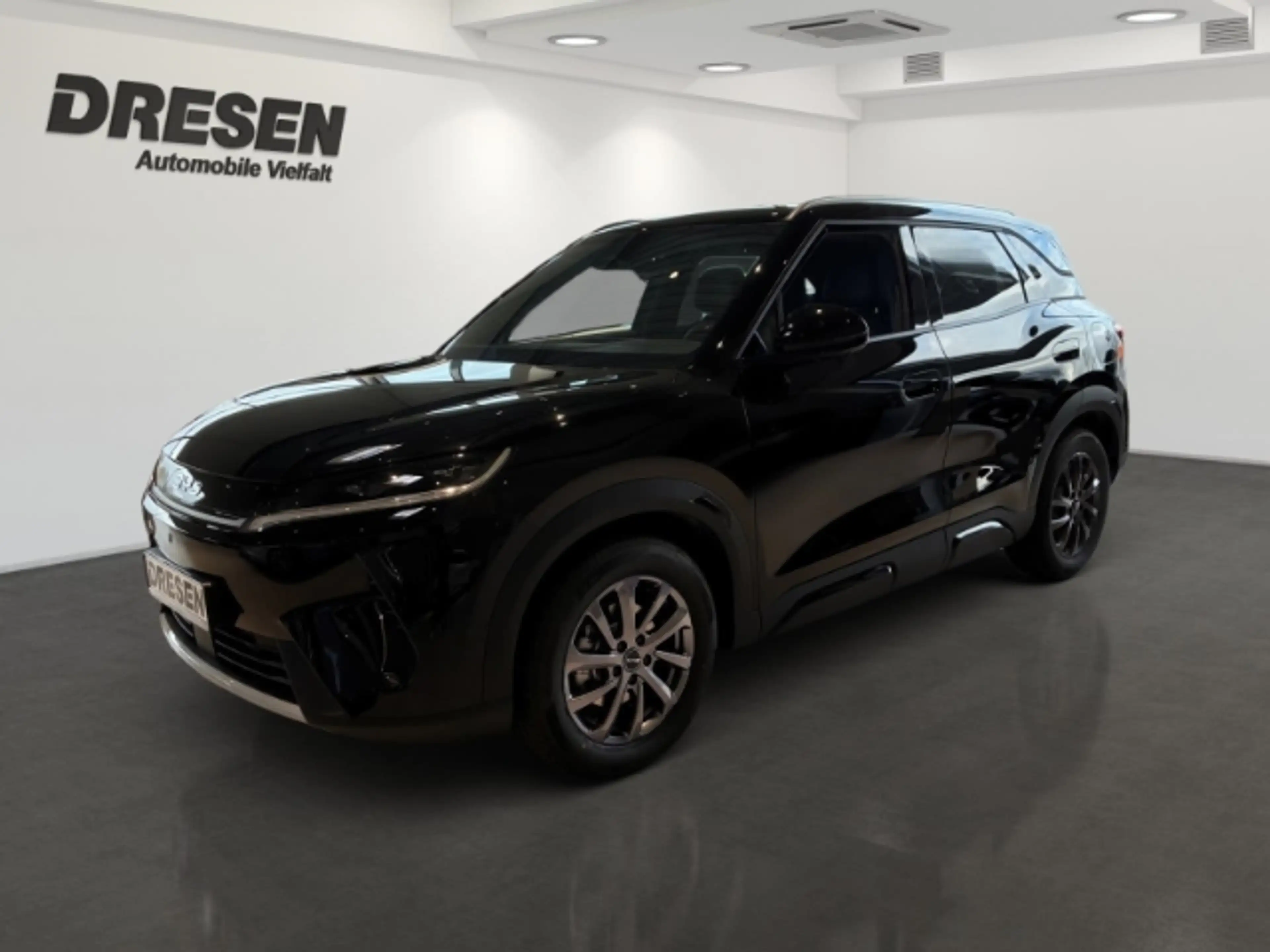 BYD Atto 2 DM-i 1.5 Boost Panorama/360 Grad/Sitzheizung/Navi/ — photo 2