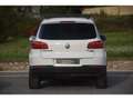 Volkswagen Tiguan Tiguan 2.0 16V TDI FAP BlueMotion - 140  . PHASE 2 Weiß - thumbnail 9