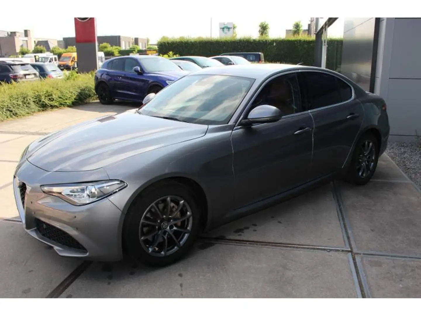 Alfa Romeo Giulia Super Gris - 2