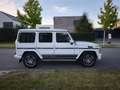 Mercedes-Benz G 63 AMG G 63 AMG AMG SPEEDSHIFT 7G-TRONIC Weiß - thumbnail 3