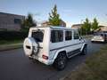 Mercedes-Benz G 63 AMG G 63 AMG AMG SPEEDSHIFT 7G-TRONIC Weiß - thumbnail 4