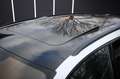 Audi RS4 Avant 2.9 TFSI quat*MTM*Alcantara*STHZ*AHK* Blanc - thumbnail 19