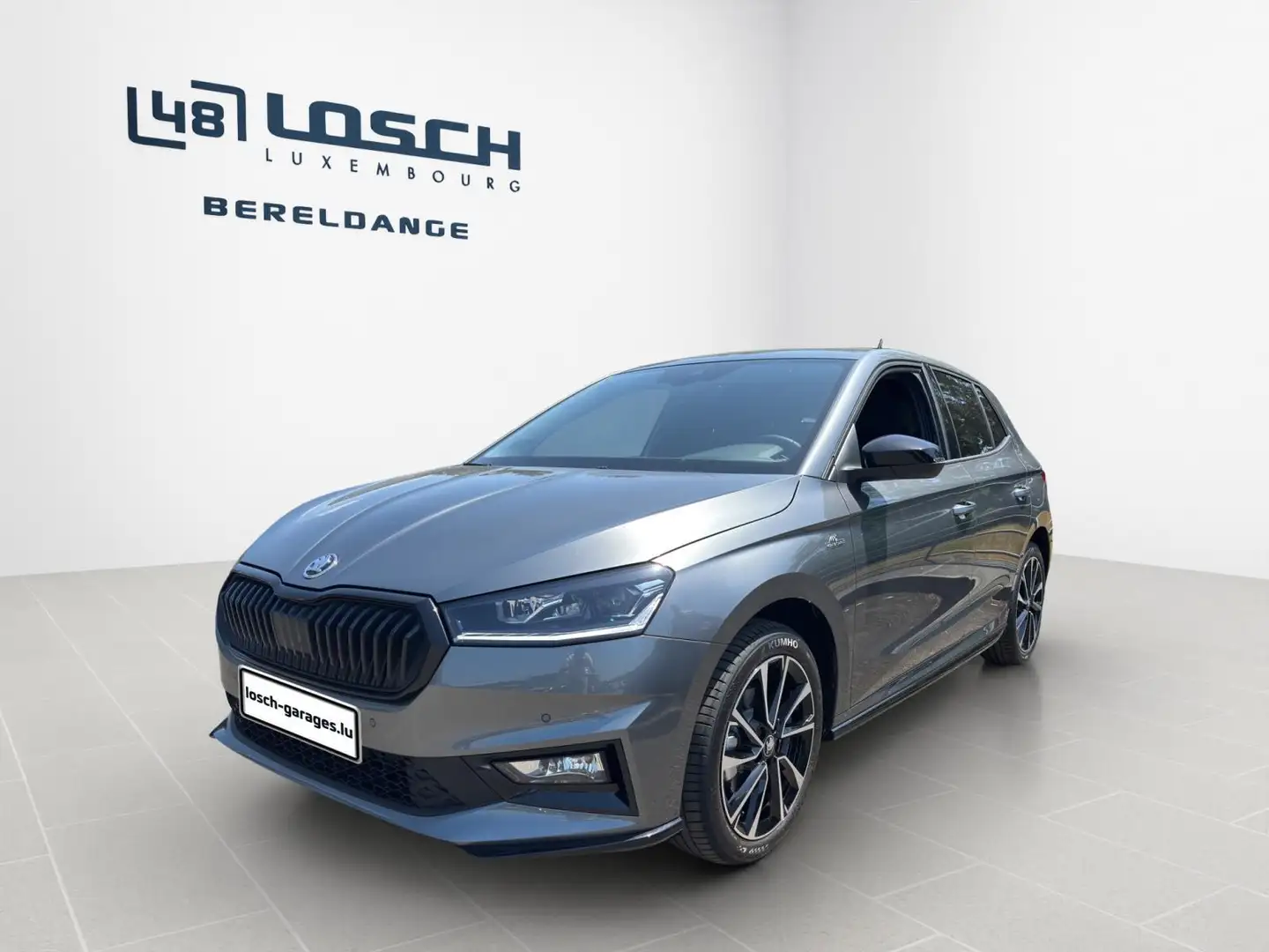 Skoda Fabia Monte Carlo Gris - 1