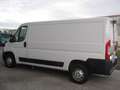 Fiat Ducato 35 3.0 CNG Natural Power MH1 Motore Rotto Bianco - thumbnail 4