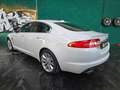 Jaguar XF XF Berlina 2.2d s Bianco - thumbnail 5