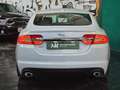 Jaguar XF XF Berlina 2.2d s Bianco - thumbnail 4