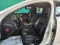 Jaguar XF XF Berlina 2.2d s Bianco - thumbnail 9