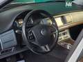 Jaguar XF XF Berlina 2.2d s Bianco - thumbnail 8