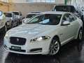 Jaguar XF XF Berlina 2.2d s Bianco - thumbnail 1