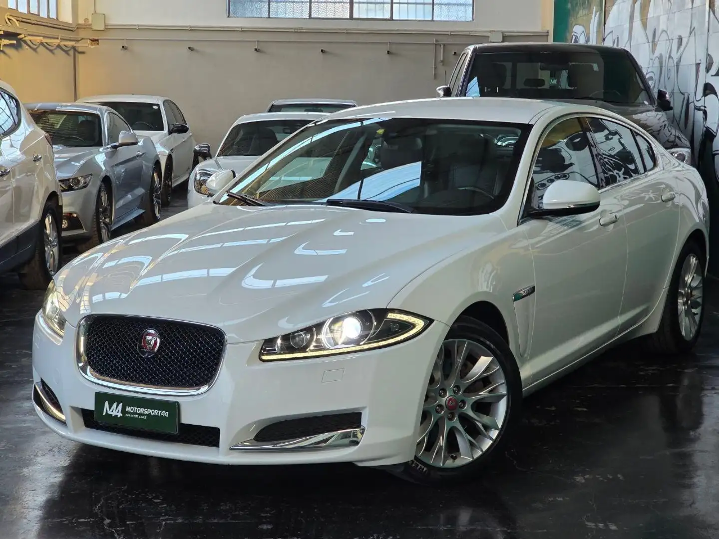 Jaguar XF XF Berlina 2.2d s Bianco - 1