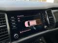 Skoda Kodiaq Style SC TDI DSG Grau - thumbnail 22