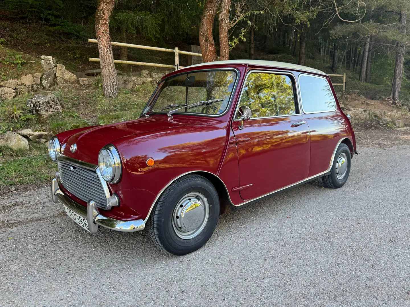 MINI 1000 AUTHI MINI 1000 S MK2 “bisagras” Фіолетовий - 1