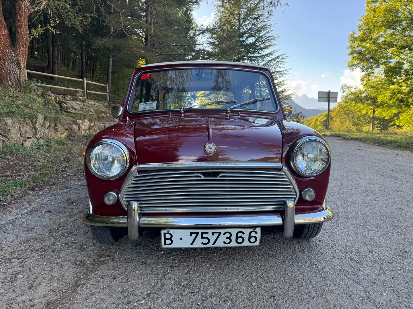 MINI 1000 AUTHI MINI 1000 S MK2 “bisagras” Фіолетовий - 2