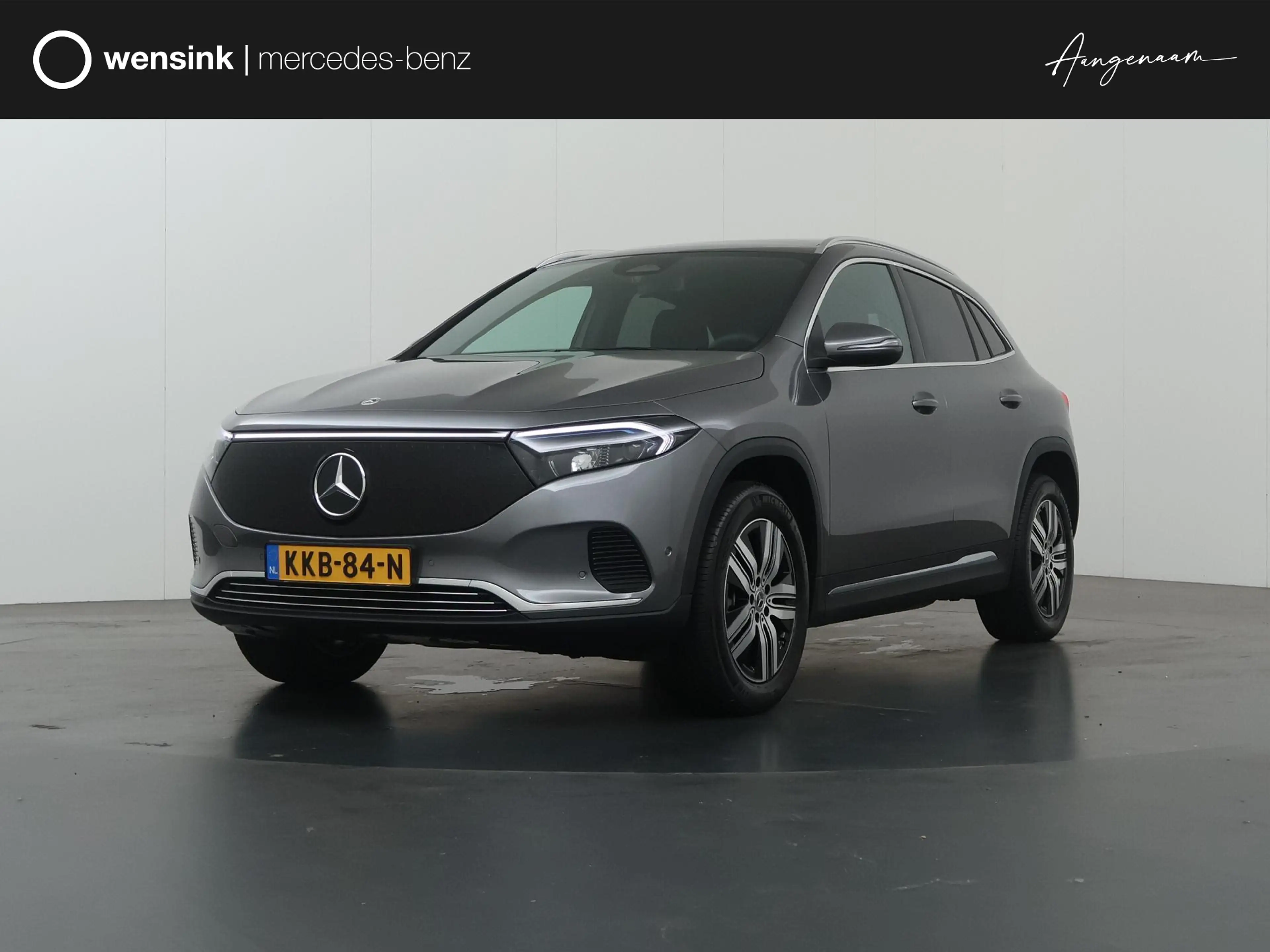 Mercedes-Benz EQA 250 250+ Business Solution Luxury 71 kWh | Panoramasch
